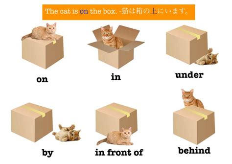 prepositions  place poster  fox  japan