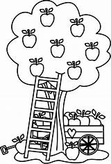 Coloring Apple Pages Tree Appleseed Johnny Printable Color Fruit Harvest Kids Print Apples Bestcoloringpagesforkids Colouring Sheets Fall  Stylish Under sketch template