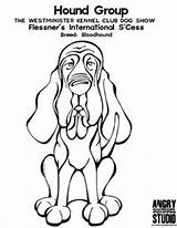 Bloodhound Coloring Designlooter Cess Hound Winner International Group sketch template
