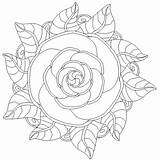 Mandala Rose Coloring Color Pages Mandalas Para Rosas Da Colorear Printable Roses Rosa Adults Imprimir Flower sketch template