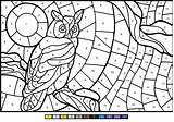 Owl Supercoloring sketch template