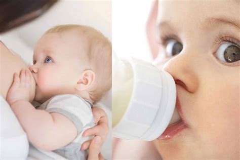 breast feeding vs bottle feeding a step by step guide 2020