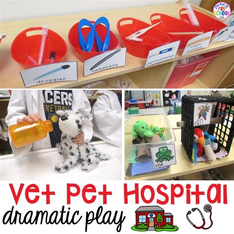 vet animal hospital dramatic play pocket  preschool