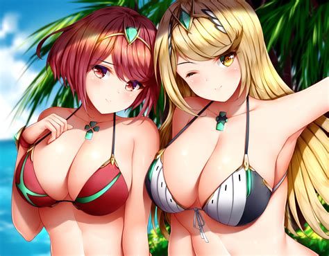 mythra and pyra beach selfie xenoblade chronicles 2 know your meme