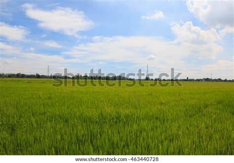 sky farming season stockfoto  shutterstock