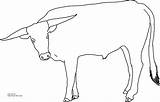 Longhorn Texas Steer Longhorns Cow sketch template