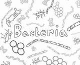 Coloring Bacteria Pages Worksheets Color Sheets Protists Viruses Tumblr Microbes Zone Too Books Gif These Computer Print Sponsored Links sketch template