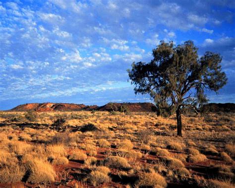 a beginner s guide to the outback halfway anywhere