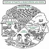 Huerto Escolar Huertos Huerta Imagui Plantas Cultivo Siembra Suelo Siembras Imagen Horticultura Agricultura Primaria Clase sketch template