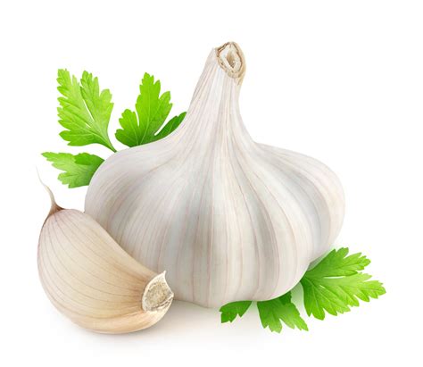 How Not To Cure A Yeast Infection With Garlic Sextion