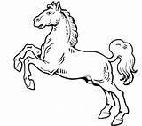Cavallo Impennato Disegnare Bambini Impenna Cavalli Disegni Crescere Cose Forte Piacerà Possente Vigoroso sketch template