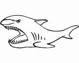 Shark Basking Coloring Simple Drawing Color sketch template