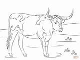 Longhorn Coloring Texas Pages Drawing Printable Clipart Cows sketch template