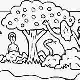 Eden Garden Eve Adam Coloring Serpent Tree Forbidden Near Netart Bible sketch template