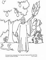 Adam Eve Coloring Bible Pages Library Clipart sketch template