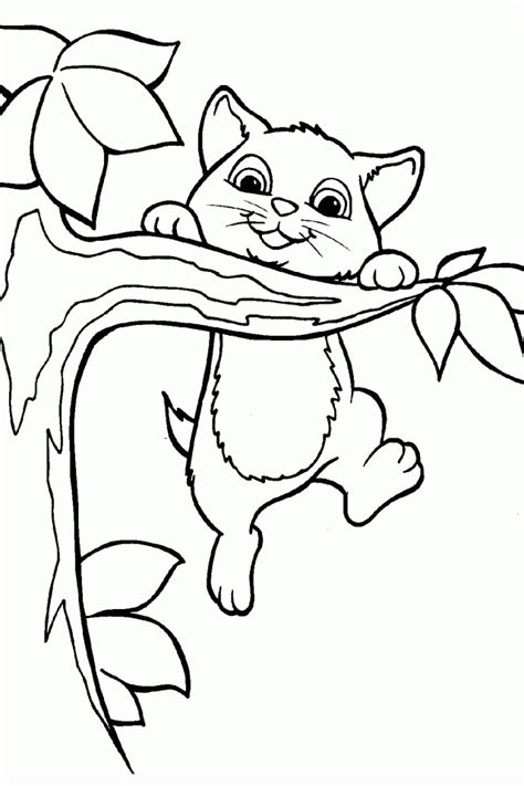 easy cat face coloring coloring pages