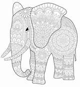 Elefante Mandala Mandalas Elefantes Pintar sketch template