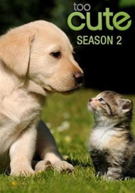 too cute season 2 watch full episodes streaming online