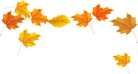 fall autumn leaves transparent hq png image