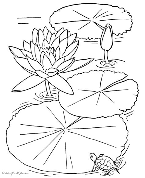 printable flower coloring book page
