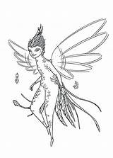 Tooth Fairy Pages Coloring Print Color Getcolorings Pa Getdrawings sketch template