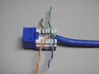 cate wiring diagram wall jack general wiring diagram