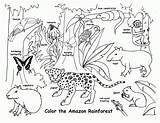 Coloring Rainforest Pages Tropical Jungle Color Printables Print sketch template