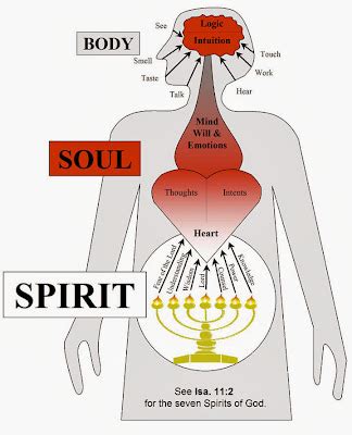 cross  cutlass    body   soul   soul   body