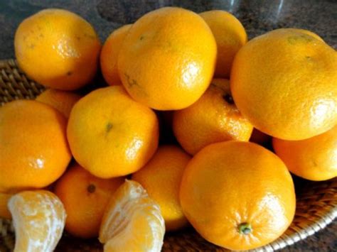 mg mandarinen aufstrich rezept mit bild kochbarde