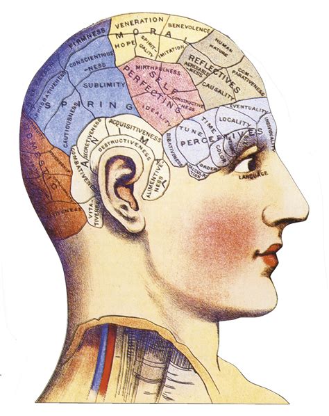 historia de la psicologia mind map