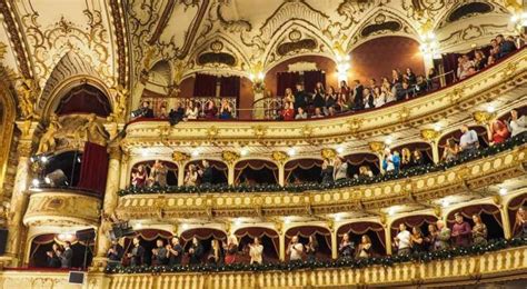 survive  opera   start performances         expect