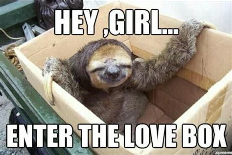 Sloth Memes Love Sloth Memes The Stuff That Makes Me