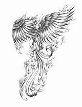 Phoenix Tattoo Drawing Tattoos Rising Ashes Pheonix Designs Phönix Drawings Bird Flying Coloring Tatoo Fenix Simple Phenix Tatouage Ink Color sketch template