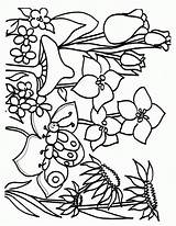 Spring Coloring Pages Flower Sheets Printable Kids Colouring Info Boys Print sketch template