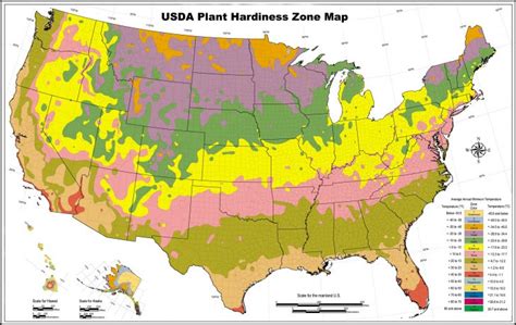 usda hardiness zones outline map  california climate zones map california hardiness zone