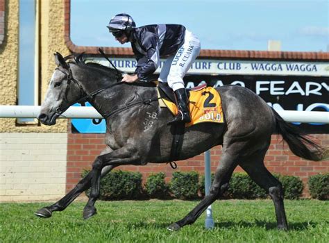 Wagga Trainer Chris Heywood Expects Event To Run Big Race At Albury