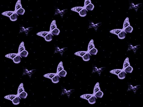 Cute Purple Butterfly Wallpaper