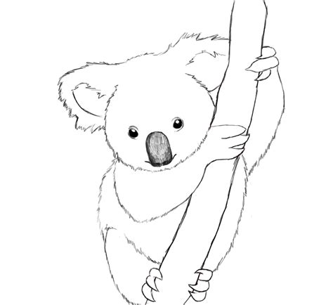 koala animals  printable coloring pages