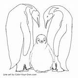 Emperor Penguins Penguin Coloring Pages Color Printable Baby Line Drawings Own Kids Template Sketchite Sketch Print Choose Board Belly Balls sketch template