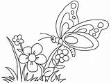 Farfalla Fiore Colorare Mariposas Coloring Disegni Farfalle Bambini Mariposa Dibujos Semplici Saberimagenes Jardin Hermosas Volando Primavera sketch template