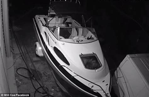 The Boat Owner Is Shocked To Find Amorous Couple Having