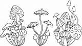 Trippy Outline Mushrooms Creativemarket Sketches sketch template