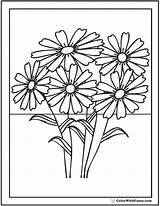 Coloring Daisy Daisies Pages Shasta Sheets Cute Colorwithfuzzy sketch template