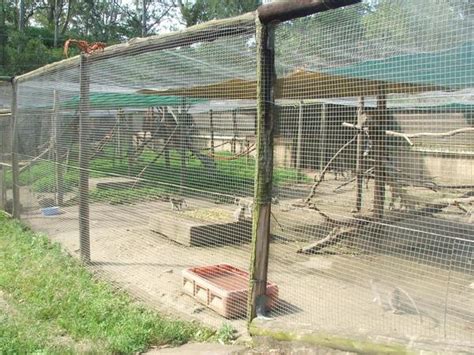 monkey enclosure photo