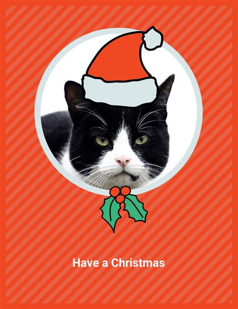 funny simple cat christmas card venngage