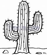 Cactus Drawing Desert Drawings Saguaro Line Coloring Outline Timtim Clipart Pages Climate Bw Nature Cowboy Kids Getdrawings Sahara Easy Category sketch template