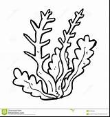 Coral Coloring Pages Getdrawings sketch template