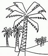 Coloring Coconut Tree Library Clipart Palm sketch template