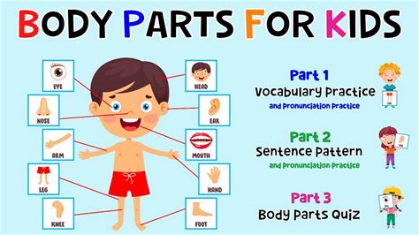 body parts  kids learn parts   body body part quiz esl