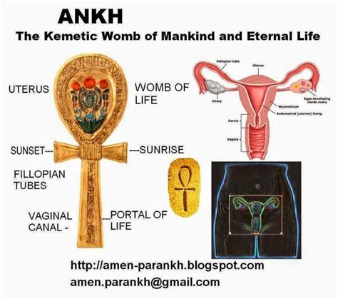 Meaning Of The Ankh African Consciousness Pinterest The O